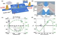 Tunable hexagonal boron nitride topological optical delay line in the visible region