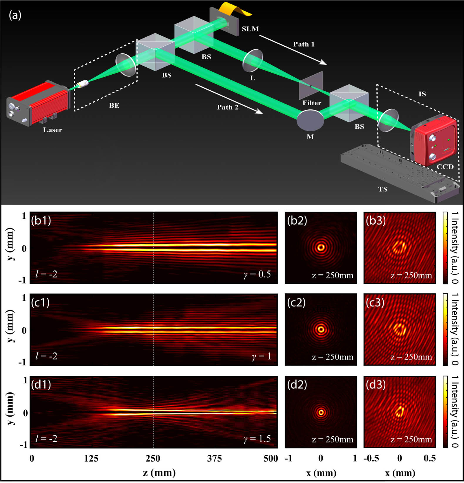 Experimental observations of POVBs in free space for different values of the phase modulation exponent γ. (a) Schematic of the experimental setup used for the generation and detection of the POVBs. Path 1 highlights the beamline used for the generation, while path 2 the beamline used for carrying out the interferograms. (b1)–(d1) Normalized side-view of the beams in the y−z plane for (b1) γ=0.5, (c1) γ=1, and (d1) γ=1.5. (b2)–(d2) Intensity distributions and (b3)–(d3) interferograms recorded at the distance z=250 mm, marked by dashed white lines in (b1)–(d1). l=−2 is the topological charge. L, lens; M, mirror; BE, beam expander; BS, beam splitter; IS, imaging system; TS, translation stage; SLM, spatial light modulator.