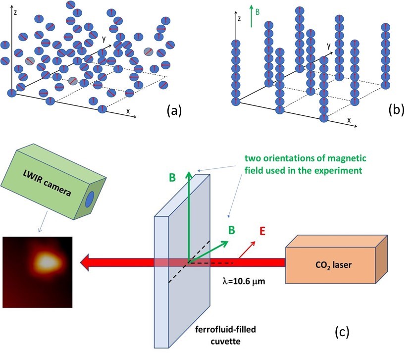 Experimental study of two-time physics in self-assembled hyperbolic metamaterials