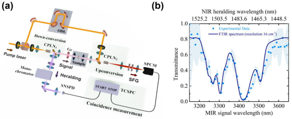 Mid-infrared single-photon upconversion spectroscopy based on temporal-spectral quantum correlation