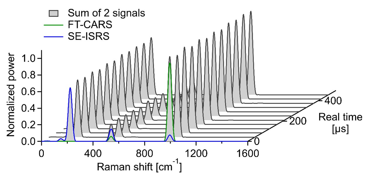 DIVS enables THz–fingerprint Raman spectra 