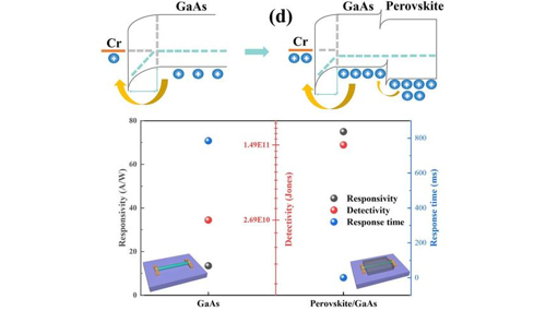 Heterogeneous combination of perovskite materials and III-V GaAs nanowire materials to construct hybrid dimensional high-performance photodetectors for the first time