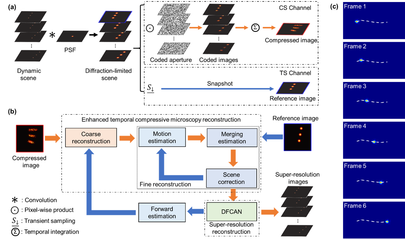 The principle and experimental demonstration of temporal compressive super-resolution microscopy