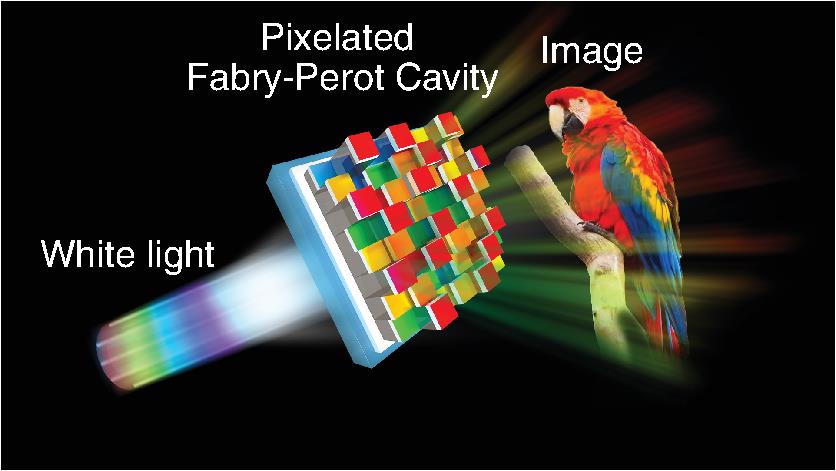 Schematic diagram of the working principle of the color printing by using pixelated F–P cavities. The F–P cavity consists of a silver (Ag)/PR/silver (Ag) sandwich structure. The spatially variant thickness of the PR layer is realized through the laser grayscale lithography process. Under the illumination of a white light source, the colorful image with a micron-scale spatial resolution can be obtained.