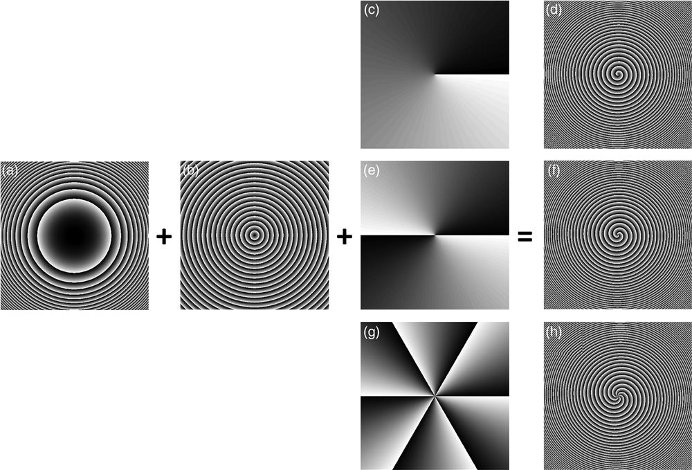 (a) Radial cubic phase; (b) radial linear phase; (c) spiral phase with m=1; (d) superimposed phase structure of the former three; (f), (h) superimposed phase structures with the spiral phase of (e) m=2 and (g) m=6. The color variation from black to white represents the phase value from 0 to 2π, and it also indicates the optical axes varying from 0 to π when PB phase is introduced.