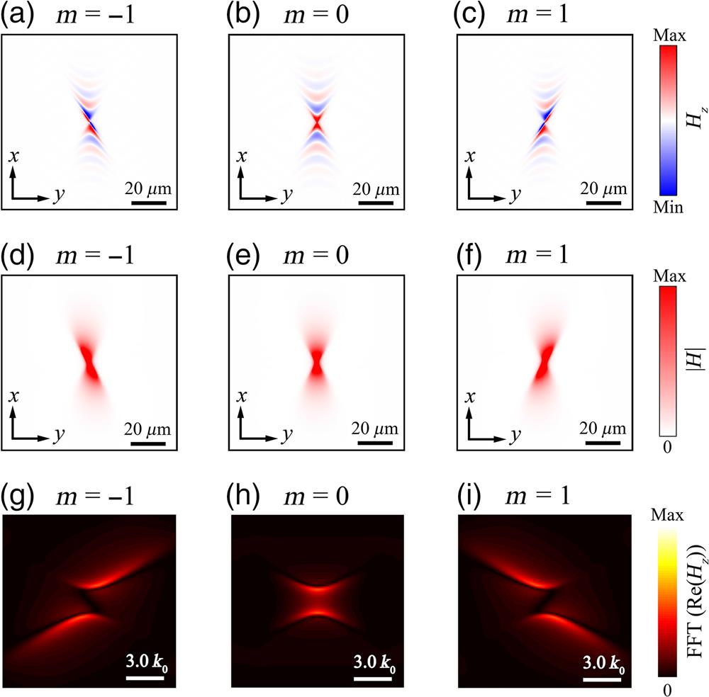 q-HShPs based on vortex waves with different topological charges (m=0,±1) as excitation sources of hyperbolic materials without off-diagonal permittivity tensor elements at 718 cm−1. (a)–(c) The simulated magnetic fields of different topological charges. (d)–(f) The corresponding intensities (|H|) of different topological charges. (g)–(i) The corresponding FFT (Re[Hz]) of different topological charges.