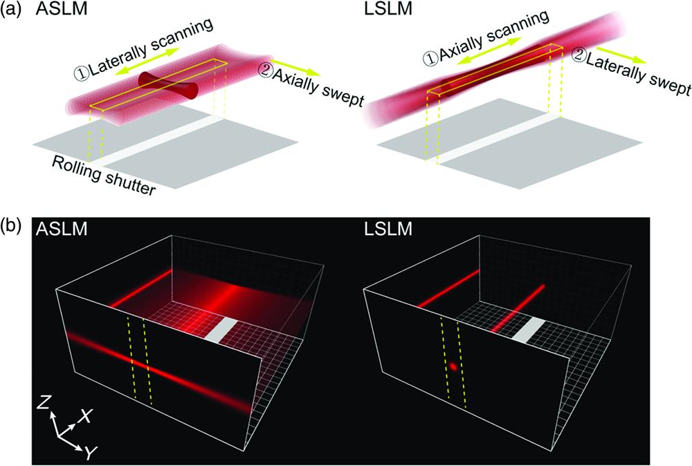Schematic comparison between the ASLM and LSLM. (a) In the ASLM, a focused Gaussian beam is first laterally scanned that generates a light sheet perpendicular to the direction of beam propagation. Afterward, the focus of the Gaussian beam is axially swept in synchronization with the rolling shutter of the camera. In the LSLM, a Gaussian beam is first axially scanned that forms a “light needle” along the direction of beam propagation. Then, the beam is laterally swept in synchronization with the camera. Here, the axial direction is along the propagation of the beam and the lateral direction is perpendicular to the propagation of the beam. With the rolling shutter, only the region excited by the in-focus, thin light sheet is imaged by the camera. (b) Comparison of light sheets generated by lateral scanning of the ASLM and axial scanning of the LSLM. The images on the Y–Z plane show the cross section of the light sheet, and the yellow dashed lines indicate the rolling shutter. With the same rolling shutter, the ASLM shows better axial optical sectioning, but the LSLM contains more excitation power in the shutter region, which is more photon-efficient.