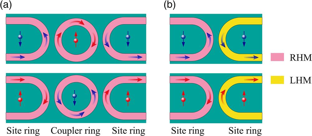 Schematics of the photonic pseudospin in the coupled ring system. (a) Reversal of pseudo-spin in forward coupling. (b) Consistency of pseudo-spins in the process of backward coupling. The upper (lower) row denotes pseudo-spin-down (up) mode. RHM and LHM are marked by pink and yellow, respectively.