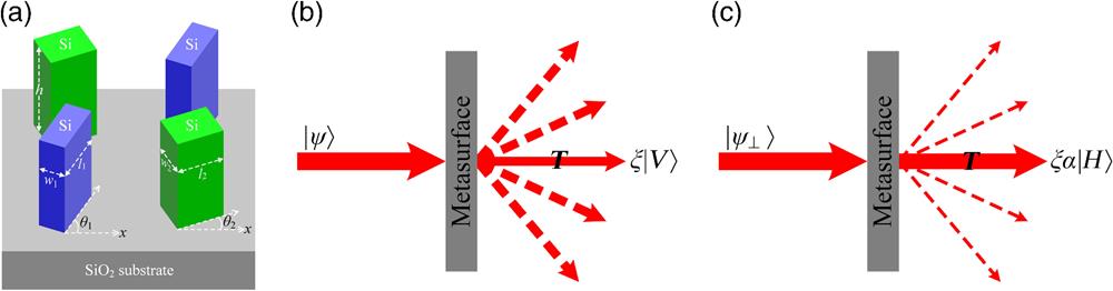 Schematic representation of optimal metasurface for monitoring of polarization deviations. (a) One unit cell of the silicon metasurface for achieving the nonunitary transformation T. Response of metasurface to incident (b) anchor polarization state |ψ⟩ and (c) perturbed state |ψ⊥⟩. The diffraction losses are specially designed to be stronger or weaker, as shown by thicker or thinner dashed lines, respectively.