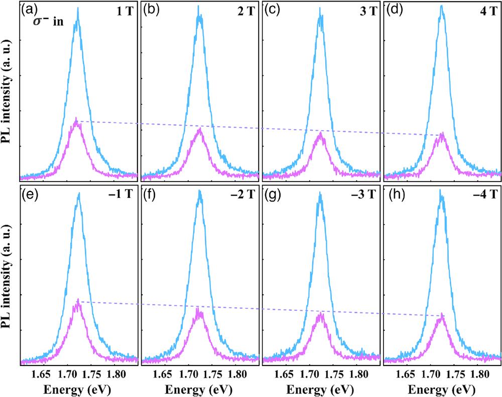 Circularly polarized PL spectra of H/T-WSe2-19.9% under (a)–(d) positive magnetic fields from 1 to 4 T and (e)–(h) negative magnetic field from −1 to −4 T. The blue and purple lines indicate co- and cross-polarized configurations, respectively.