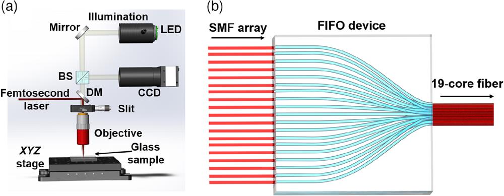 (a) Schematic of the femtosecond laser direct writing system and (b) concept of the femtosecond laser-inscribed device. BS, beam splitter; DM, dichroic mirror; CCD, charge-coupled device.