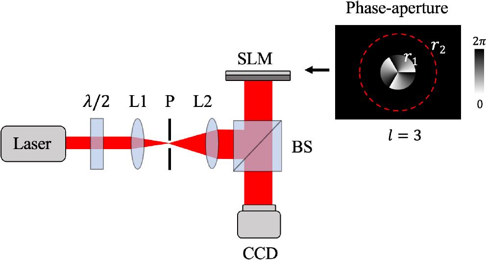 Experimental setup of common-path interferometry with a phase aperture. λ/2, half-wavelength plate; L1, L2, lens; P, pinhole; BS, beam splitter; SLM, spatial light modulator; CCD, charge-coupled device. r1 is the inner radius of the phase aperture, r2 is the outer radius of the phase aperture indicated by red dashed line.