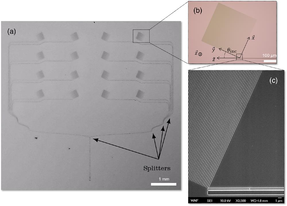 (a) Optical microscope image of the PIC: 16 identical apodized gratings are fed lights using a single-grating coupler via an optical fiber. (b) Close-up view of the detail of one apodized grating and system of coordinates. (c) Scanning electron microscope (SEM) image of one fabricated apodized grating.