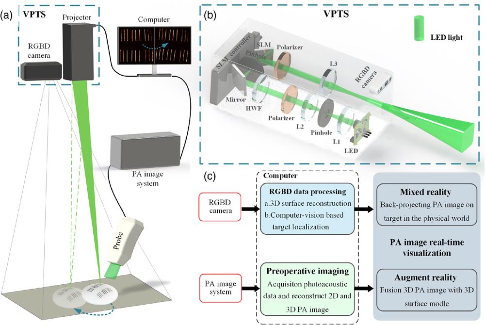 (a) Schematic diagram of the experimental facility for photoacoustic-enabled automatic vascular navigation. The PA probe and the PA imaging system are used to image the target, the reconstructed image is accurately projected on the target surface in real time by the VPTS, and the RGBD camera locates and tracks the target in real time, so that the preoperative images can still be accurately reprojected on the target surface when the target moves. (b) Device diagram of the VPTS, including the light path of the projector and RGBD camera. L1, L2, and L3 are convex lenses. HWF is a half-wave plate. (c) System data flow diagram.