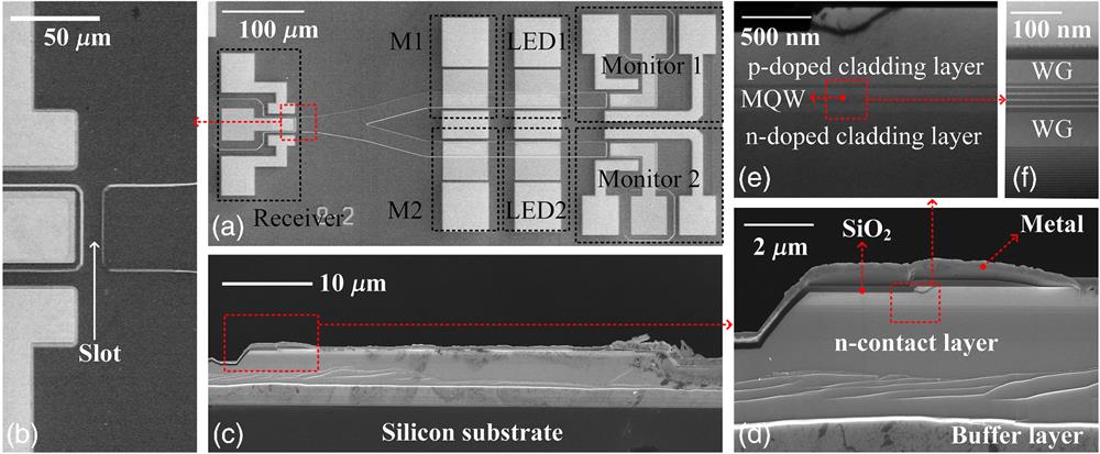 Images of the fabricated photonic integrated chip. (a) SEM image of the complete chip; (b) enlarged SEM image of the slot between the receiver and Y-branch waveguide; (c) SEM cross-sectional image of the modulator; (d) enlarged SEM image of the modulator edge; (e) enlarged SEM image of the top epilayers; and (f) cross-sectional scanning transmission electron microscope image of the top epilayers.
