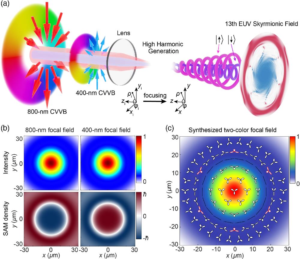 (a) Schematic of generating EUV skyrmions with HHG. A synthesized two-color (800 nm+400 nm) CVVB field is employed to generate HHG with non-trivial spatial spin distribution. The red and blue arrows represent the instantaneous electric field vectors of 800- and 400-nm incident fields, respectively, and the accompanied pseudocolor maps show their angular phase structures. We control the beam width of the incident 800-nm field that is twice that of the 400-nm field, so the focal distributions of intensities of 800- and 400-nm CVVBs are the same. We note here that if they are not the same, one cannot generate the skyrmions presented in this work. Here, we show the EUV skyrmionic fields can be generated, and the 13th harmonic spins down at the beam center and spins up at the surrounding. The inset illustrates the coordinates in the incident plane and focal plane, respectively. (b) The distributions of intensity (upper panel) and normalized z-direction SAM density (bottom panel) of 800- and 400-nm CVVBs in the focal plane individually. (c) The focal electric field structure of the two-color synthesized CVVB. The pseudocolor map indicates the intensity distribution of the driving beam. The overlapped Lissajous figures illustrate the local polarization states, in which the red profiles show the sixfold spatial symmetry of the two-color synthesized field.