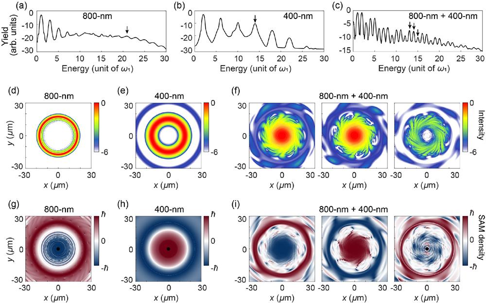 Spatio–spectral signatures of HHG driven by the CVVBs. (a)–(c) High harmonic spectra. (d)–(f) Spatial intensity distributions of logarithmic scales. (g)–(i) Spatial distributions of normalized SAM densities along the z-direction. The HHG drivers are (a), (d), (g) the 800-nm CVVB, (b), (e), (h) 400-nm CVVB, and (c), (f), (i) their synthesized two-color CVVB. The harmonic orders marked by black arrows in (a)–(c) correspond to each column in (d)–(i).