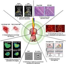 Recent advances in deep-learning-enhanced photoacoustic imaging