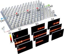 Frequency-dependent selectively oriented edge state topological transport
