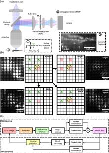 PC-bzip2: a phase-space continuity-enhanced lossless compression algorithm for light-field microscopy data