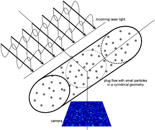 Simulation setup: a plane wave is incident on a cylindrical geometry filled with tiny spherical particles in motion. A “camera”, placed at a right angle, measures the resulting dynamic interferometric speckle pattern over time. Figure not to scale.