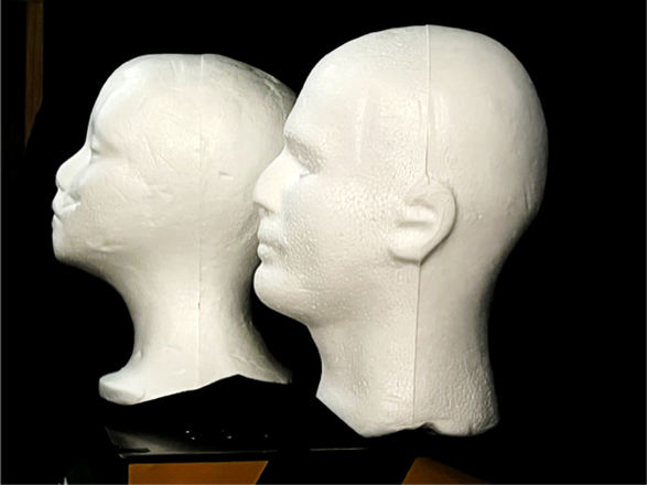 Two life-size styrofoam heads used as test objects.
