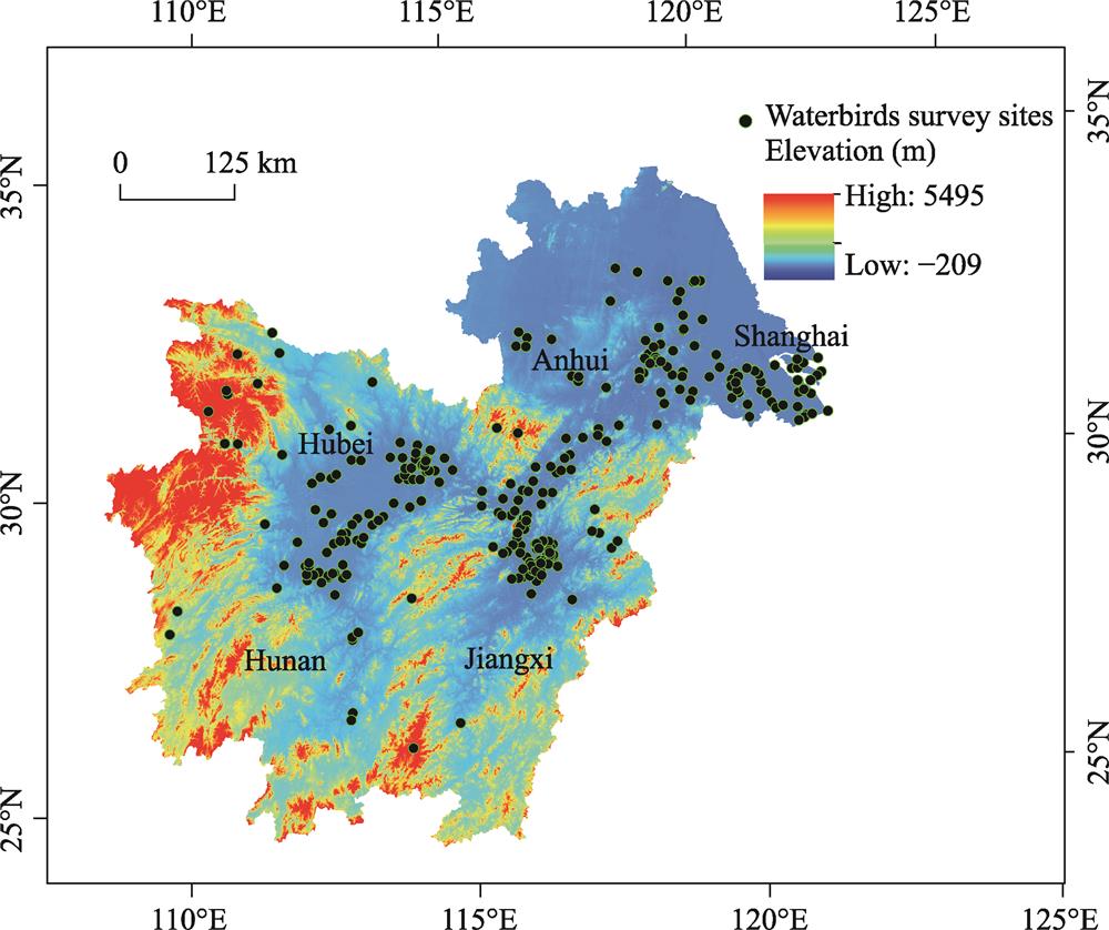 The location of waterbird survey sites in the Yangtze River floodplain