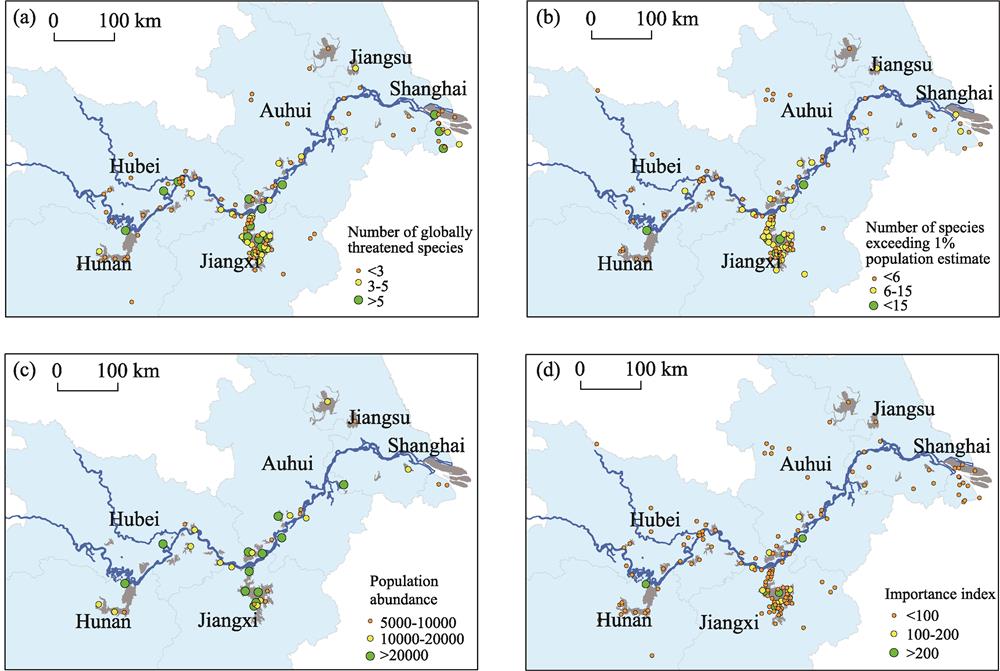 Sites with (a) globally threatened species, (b) species meeting the Ramsar 1% criterion, (c) high total waterbird abundance, and (d) high Importance Index