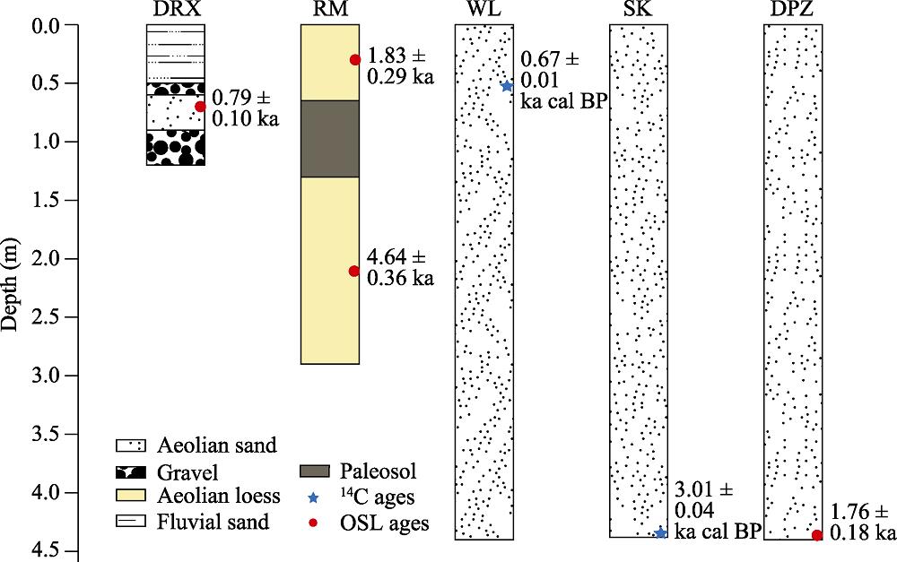 Sediment logs and ages of aeolian sand and loess in the middle reaches of the YZR
