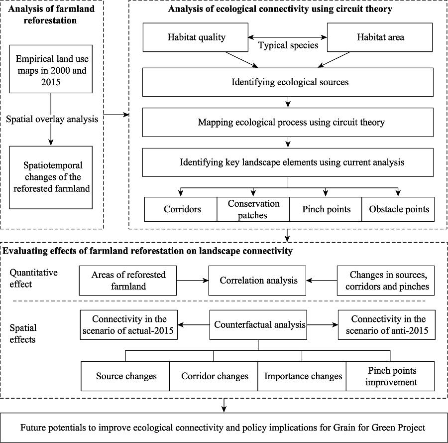 Analysis framework for evaluating the effect of farmland reforestation on ecological connectivity