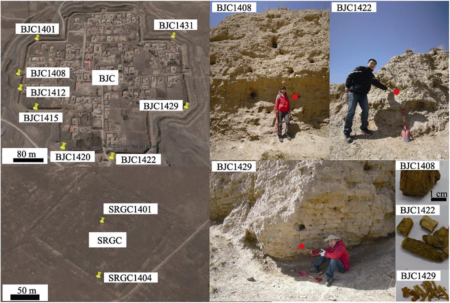Sampling locations in the ancient cities of BJC and SRGC and photographs of samples