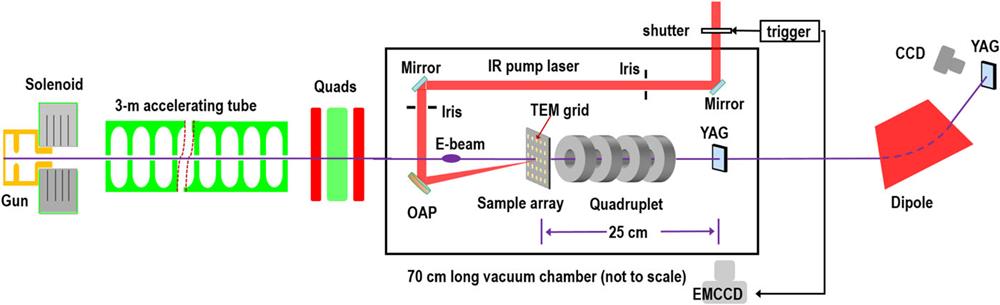 Schematic of the dynamic HEER experimental layout. High-brightness electron probes passing through the sample form a point-to-point magnified image of the sample with the magnetic imaging system. To image the irreversible laser ablation process, a specially designed sample holder containing numerous identical grids is mounted on a two-dimensional translation stage in the xy plane.