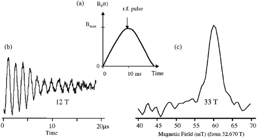 (a) Background pulsed magnetic field. (b) 63Cu FID at 12 T; (c) Fourier transform of 63Cu FID at 33 T. Reprinted with permission from Haas et al., J. Magn. Magn. Mater. 272-276, e1623 (2004). Copyright 2004 Elsevier.