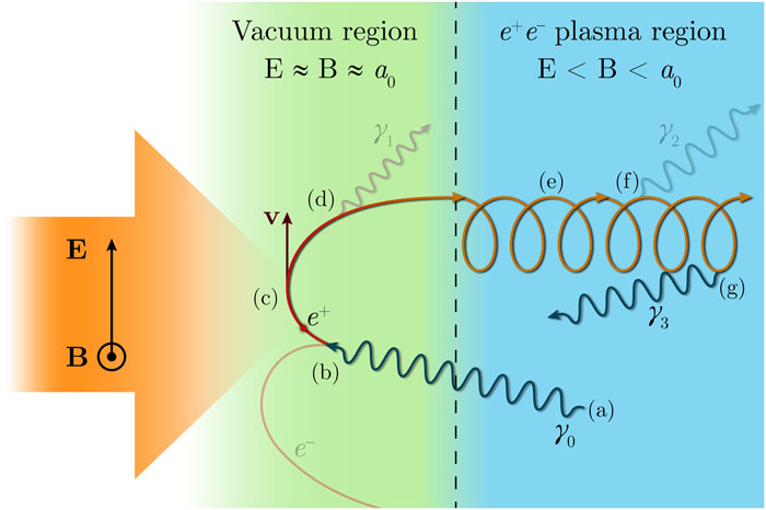 Core mechanism of cascade self-sustenance. (a), (f), and (g) Emission of a gamma quantum in the plasma region or the involved gamma quantum. (b) Decay of the involved gamma quantum in the vacuum region. (c) Positron and electron acceleration in the plane wave. (d) Emission of the gamma quantum in the vacuum region or the decoupled gamma quantum. (e) Helical motion of the positron in the plasma region.