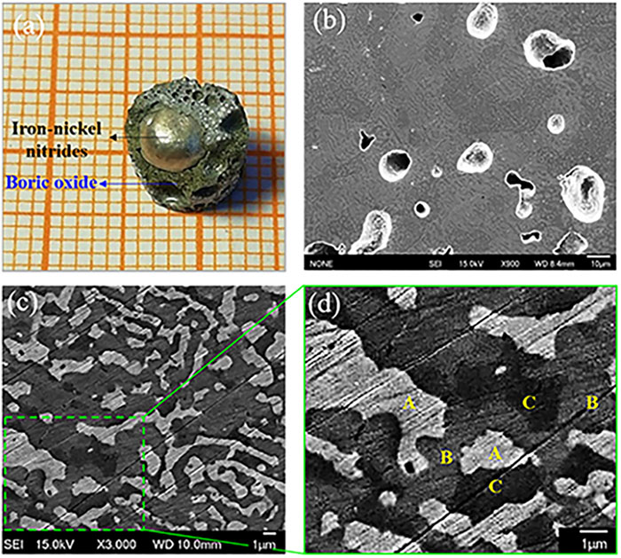 (a) Typical reaction product from an HPSSM experiments. (b) In the reactions, nitrogen degassing leads to abundant cavities. (c) and (d) SEM images of typical iron-nickel nitride samples.