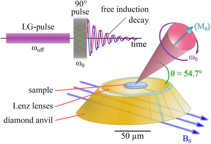 Schematic representation of Lee–Goldburg decoupling pulse experiments in DACs. By irradiating the sample with a long and weak off-resonant pulse, the precessing spin system is forced to relax in the magic angle Θ ≈ 54.7° (see the text for details), effectively averaging out dominant nonsecular spin interactions. The resulting free induction decay in the rotating frame (FIDRF) will be subject only to those spin interactions that are linear in the nuclear Zeeman interaction perturbation (e.g., isotropic chemical, paramagnetic, or Knight shifts).