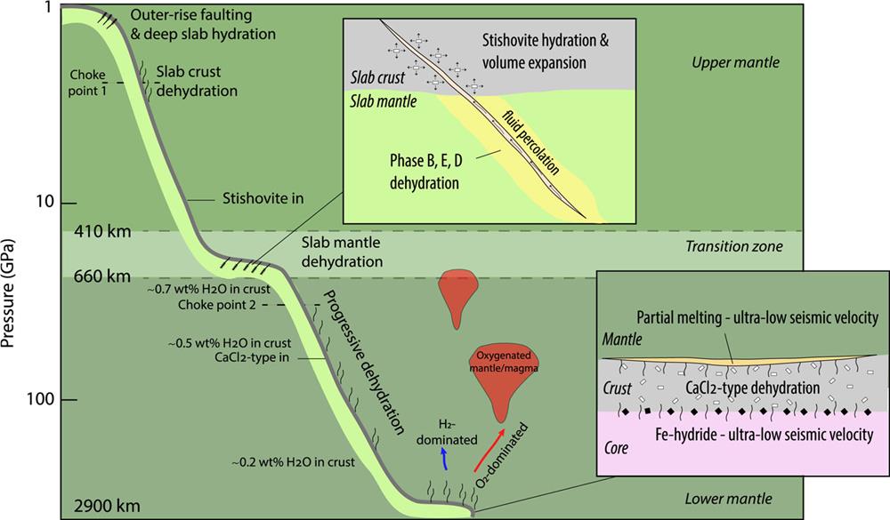 Subduction of oceanic lithosphere drives material circulation in the Earth’s mantle, providingan important conduit for the deep-water cycle and the coevolution of the hydrosphere and solid Earth. Dehydration of water-bearing stishovite, CaCl2-type silica, and seifertite (DHS) during subduction results in the addition of water to mantle rocks, and this can significantly affect mineral phase relations, melting temperatures, and seismic velocities. Importantly, hydrous CaCl2-type silica can continuously carry water into the base of the mantle at mantle temperatures over 3000 K.6 The O2-dominated volatiles decomposed from the released water or newly formed high-pressure peroxides can oxygenate the surrounding mantle and promote melting.7–9