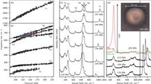 Distinct vibrational signatures and complex phase behavior in metallic oxygen