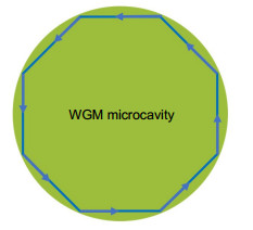 Schematic of light trapping inside a WGM microcavity by frustrated total internal reflection.