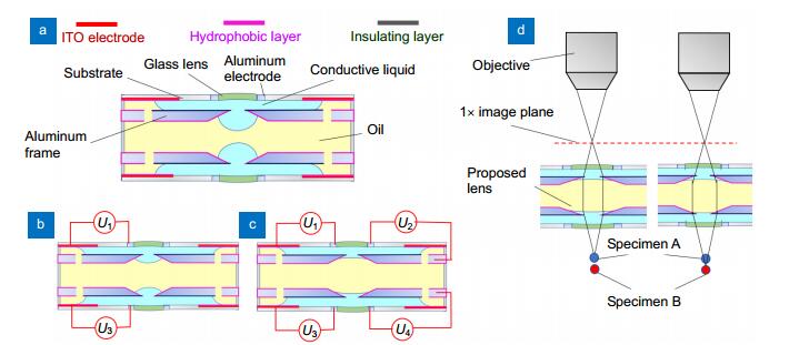 Schematic cross-sectional structure and operating mechanism of the movable electrowetting optofluidic lens.(a) Cell structure. The curvature of the silicone oil (yellow)-conductive liquid (blue) interface in the central aperture is regulated by the external voltages. (b) Moving actuation. When the external voltages U1 and U3 are applied, the L-L interface moves downwards. (c) Deforming actuation. When external voltage U2 and U4 are applied, the L-L interface deforms. (d) Working principle of axial scanning.