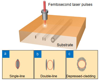 Schematic illustrations FsLDW of (a) single-line waveguides based on smooth Type-Ⅰ modification, (b) stress-induced double-line waveguides based on two parallel Type-Ⅱ laser tracks, and (c) depressed-cladding waveguides.
