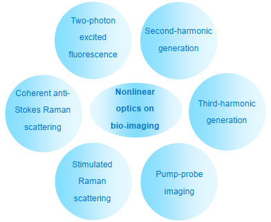 Main nonlinear optical modalities applied to bioimaging.