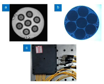 (a) Cross-sectional view of the fabricated 7-core fiber. (b) Endview of the 7-SMF bundle. (c) The packaged MCF fan-in/out coupler. Figure reproduced from ref.22, Optical Society of America.