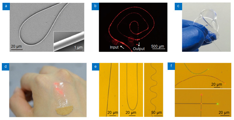 Fabrication and characterization of MNF-embedded PDMS patches.(a) SEM image of a 900-nm-diameter glass MNF with a bending radius of 30 μm. Inset: close-up image of the MNF showing smooth surface and uniform diameter. (b) Optical microscope image of a 1-μm-diameter glass MNF spiral guiding a 633-nm optical signal on a MgF2 substrate. (c) Photograph of a bent MNF-embedded PDMS patch. (d) Photograph of a MNF-embedded PDMS patch attached on human hand. (e) Optical microscope images of three patches with straight (left), bent (middle), and wavy (right) MNFs, respectively. (f) Optical microscope images of two MNFs guiding 532-and 633-nm signals separately. The two MNFs are assembled into side-by-side (top) and perpendicular crossing structures (bottom), with no crosstalk observed.