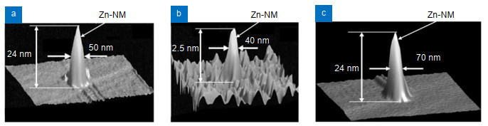 Shear-force microscopic images of Zn-NMs formed on a sapphire substrate.Dissociated molecules are DEZn ((a) and (b)) and Zn(acac)2 (c). The wavelengths of the propagating light for creating the DP were 488 nm (a), 684 nm (b), and 457 nm (c).