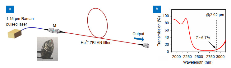 (a) The experiment device diagram of the compact 3 μm gain-switched laser with an all-fiberized structure. Inset: actual photo of the fiber end-facet mirror M. (b) Measured transmission optical spectrum of the M.