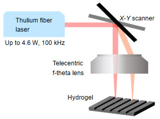 Schematic of laser scanner setup for the topographical engineering of hydrogels.