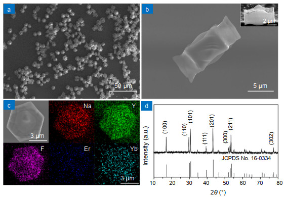 (a–b) SEM images of NaYF4:Yb3+/Er3+ microparticles, the cross-section of single microparticle shown in the inset image in (b). (c) Element mapping of a single NaYF4:Yb3+/Er3+ microparticle. (d) XRD pattern of the particles and standard pattern of the hexagonal phases of NaYF4.