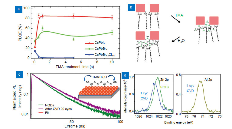 (a) PLQY value variation of QDs with TMA treatment time75. (b) Reaction schematic of TMA with QDs surface75. (c) PL lifetimes of QDs thin films before and after 20 cycles of alumina deposition69. (d) XPS spectra of Zn for QDs thin film before and after one cycle of alumina and Al after one cycle of alumina69. Figure reproduced from: (a, b) ref.75, Creative Commons Attribution 2.0 International License; (c, d) ref.69, American Chemical Society.