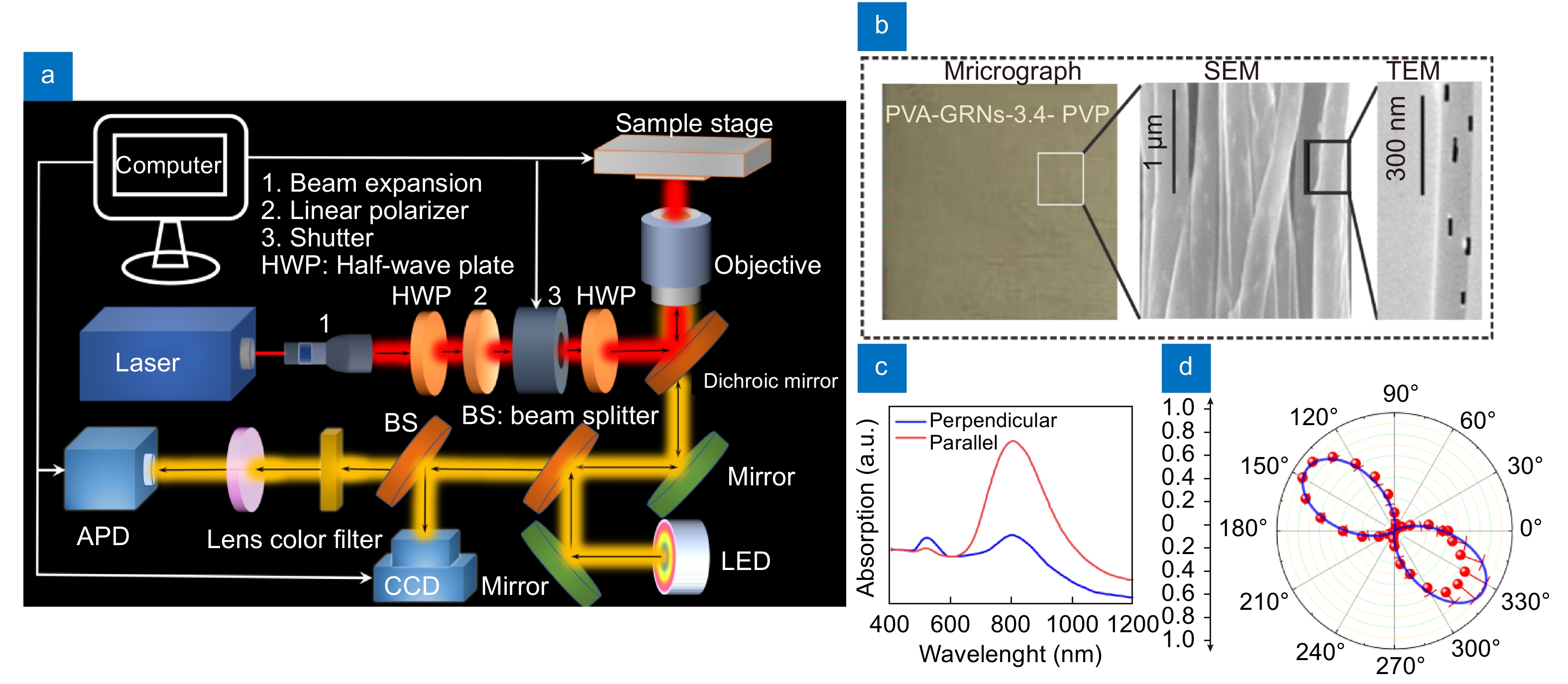 (a) Schematic drawing of the optical setup for the multilayered optical data storage. (b) The optical microscope image of the data storage medium. The insets show SEM image of the aligned nanofibers and the TEM image of a single nanofiber, respectively. (c) Absorption spectrum of the nanocomposite film at different polarization of excitation light. (d) TPL polarization sensitivity of the sample excited by the corresponding wavelength. Red circles are experimental data of TPL intensities. The blue curve is the fittings with biquadratic cosine functions.